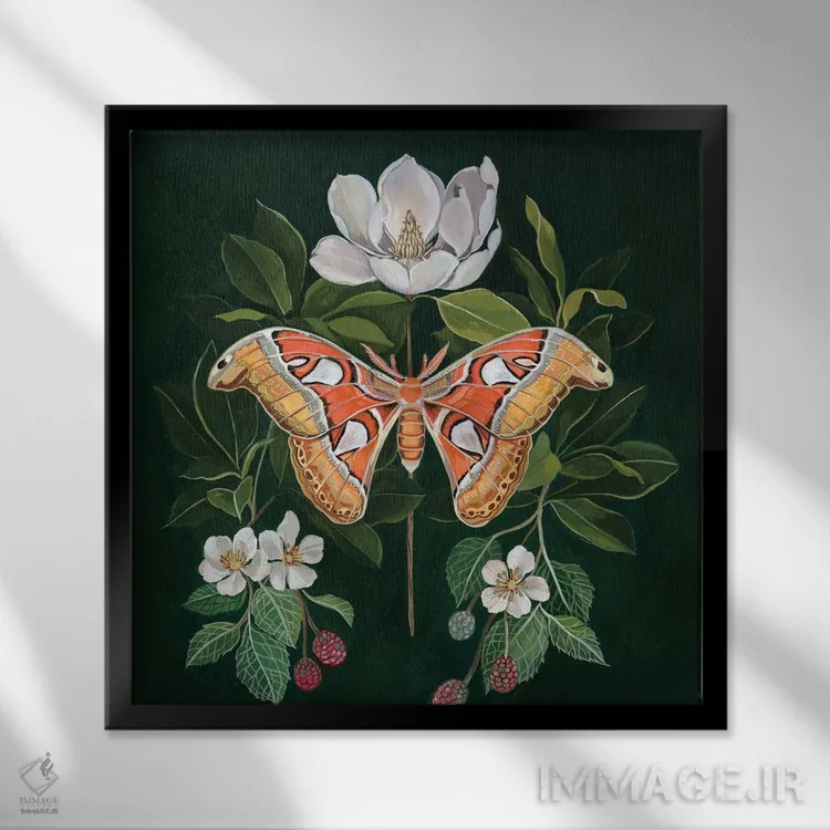 تابلو شبپره اطلس اثر کلارا مکآلیستر - نمای قابدار مشکی