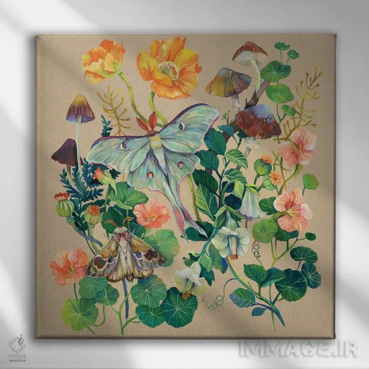 تابلو شبپره لونا اثر کلارا مکآلیستر - نمای روبهرو روی دیوار