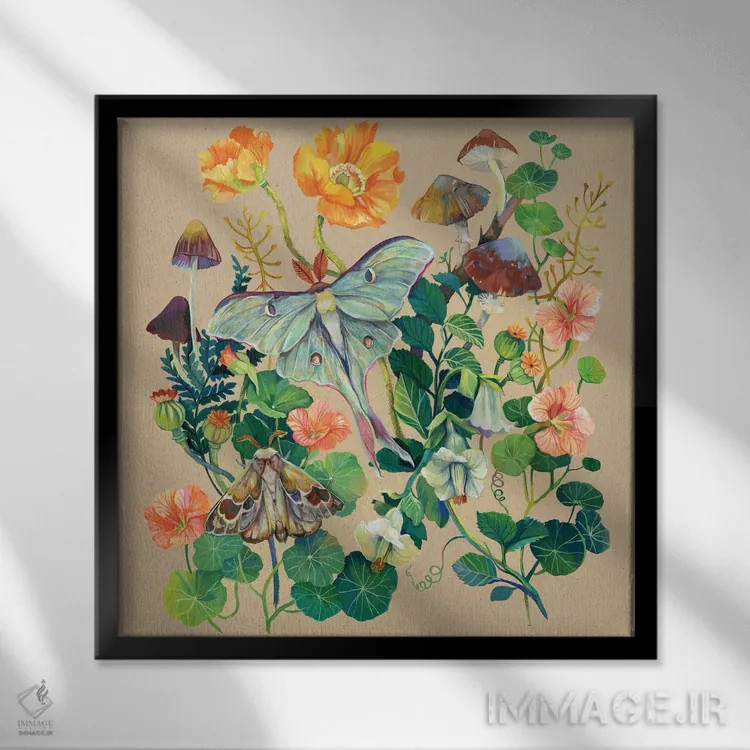 تابلو شبپره لونا اثر کلارا مکآلیستر - نمای قابدار مشکی