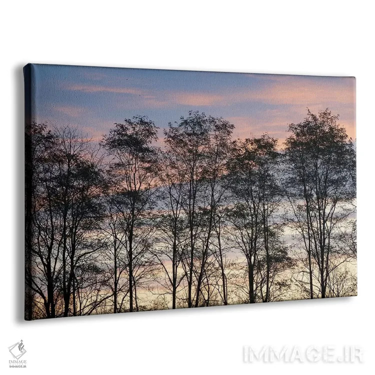 تابلو New York State. Trees silhouetted against a November sky.,آمریکا، ایالت نیویورک. سایهٔ درختان در برابر آسمان نوامبر اثر کریس موری - نمای پرسپکتیو محصول