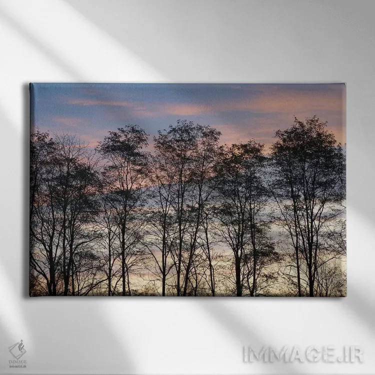 تابلو New York State. Trees silhouetted against a November sky.,آمریکا، ایالت نیویورک. سایهٔ درختان در برابر آسمان نوامبر اثر کریس موری - نمای روبهرو روی دیوار