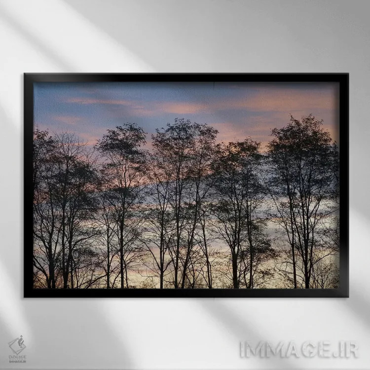 تابلو New York State. Trees silhouetted against a November sky.,آمریکا، ایالت نیویورک. سایهٔ درختان در برابر آسمان نوامبر اثر کریس موری - نمای قابدار مشکی