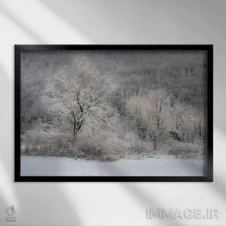 تابلو New York State. Morning sunlight on snow covered trees,آمریکا، ایالت نیویورک. نور خورشید صبحگاهی بر درختان پوشیده از برف اثر کریس موری - نمای قابدار مشکی