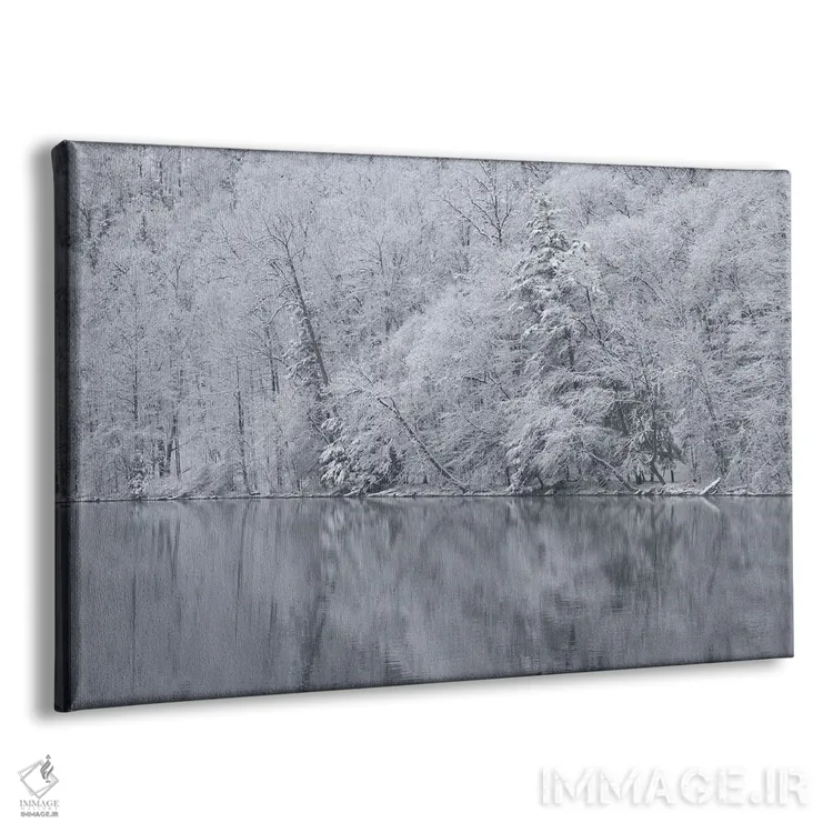 تابلو New York State. Snow covered trees and reflection, Green Lakes State Park,آمریکا، ایالت نیویورک. درختان پوشیده از برف و بازتاب آنها، پارک ایالتی گرین لیکس اثر کریس موری - نمای پرسپکتیو محصول