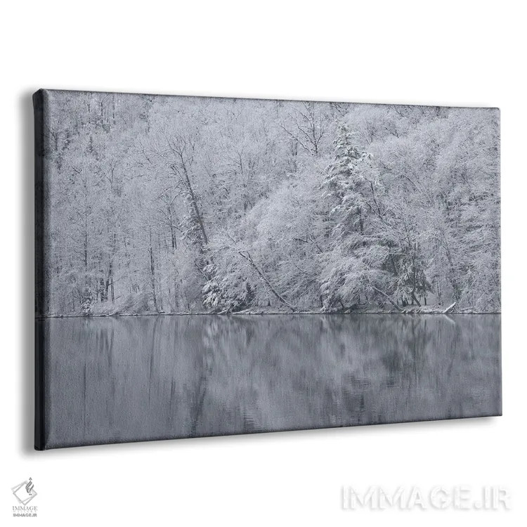 تابلو New York State. Snow covered trees and reflection, Green Lakes State Park,آمریکا، ایالت نیویورک. درختان پوشیده از برف و بازتاب آنها، پارک ایالتی گرین لیکس اثر کریس موری - نمای پرسپکتیو محصول