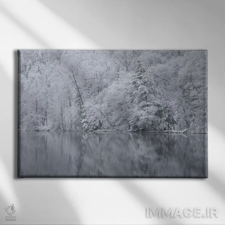 تابلو New York State. Snow covered trees and reflection, Green Lakes State Park,آمریکا، ایالت نیویورک. درختان پوشیده از برف و بازتاب آنها، پارک ایالتی گرین لیکس اثر کریس موری - نمای روبهرو روی دیوار