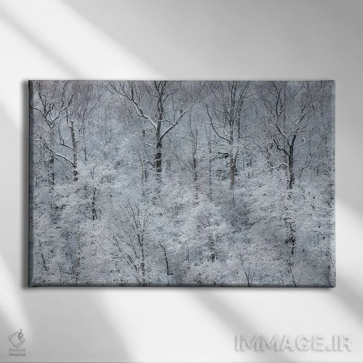 تابلو New York State. Snow covered trees, Green Lakes State Park,آمریکا، ایالت نیویورک. درختان پوشیده از برف، پارک ایالتی گرین لیکس اثر کریس موری - نمای روبهرو روی دیوار