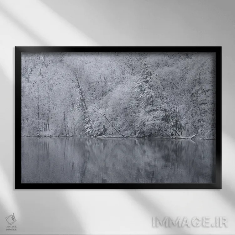 تابلو New York State. Snow covered trees and reflection, Green Lakes State Park,آمریکا، ایالت نیویورک. درختان پوشیده از برف و بازتاب آنها، پارک ایالتی گرین لیکس اثر کریس موری - نمای قابدار مشکی