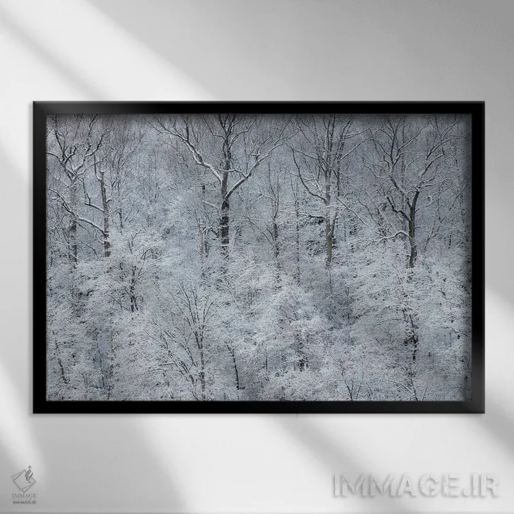 تابلو New York State. Snow covered trees, Green Lakes State Park,آمریکا، ایالت نیویورک. درختان پوشیده از برف، پارک ایالتی گرین لیکس اثر کریس موری - نمای قابدار مشکی