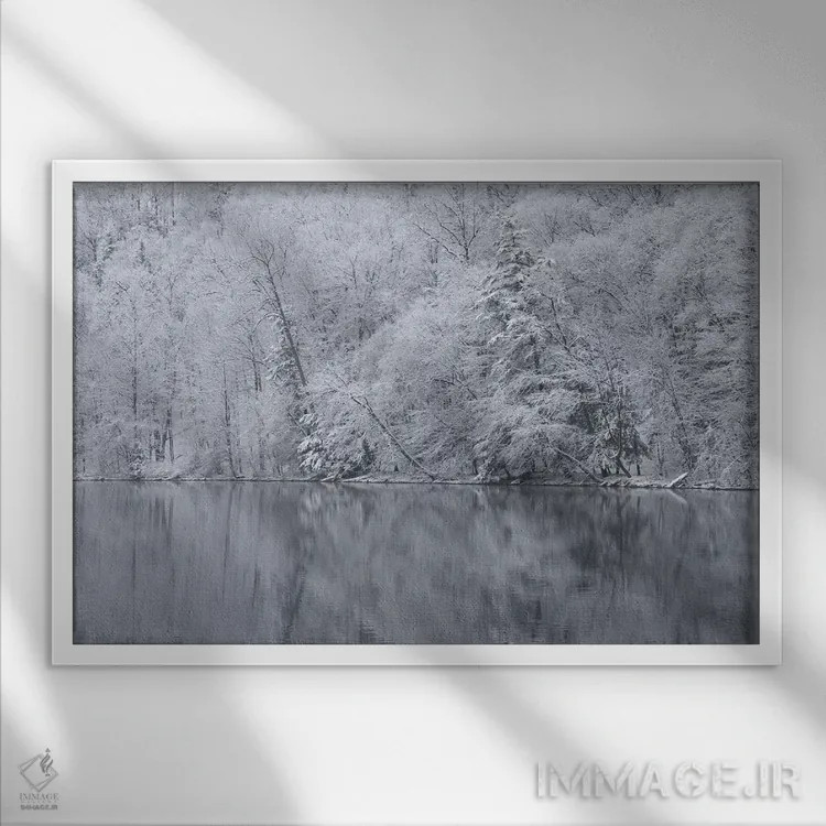 تابلو New York State. Snow covered trees and reflection, Green Lakes State Park,آمریکا، ایالت نیویورک. درختان پوشیده از برف و بازتاب آنها، پارک ایالتی گرین لیکس اثر کریس موری - نمای قابدار سفید