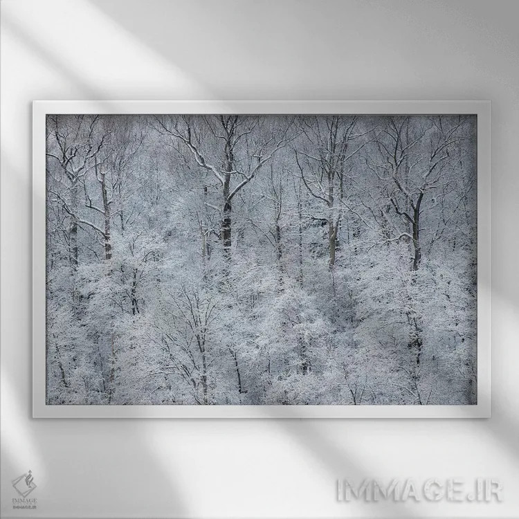 تابلو New York State. Snow covered trees, Green Lakes State Park,آمریکا، ایالت نیویورک. درختان پوشیده از برف، پارک ایالتی گرین لیکس اثر کریس موری - نمای قابدار سفید