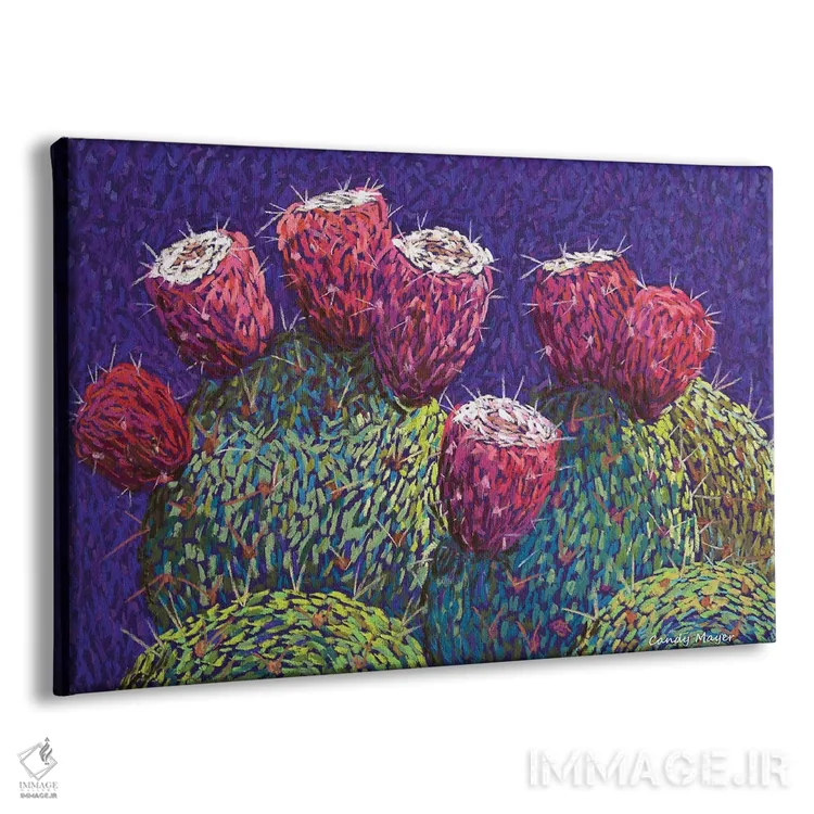تابلو میوه انجیر خارگی اثر کندی مایر - نمای پرسپکتیو محصول