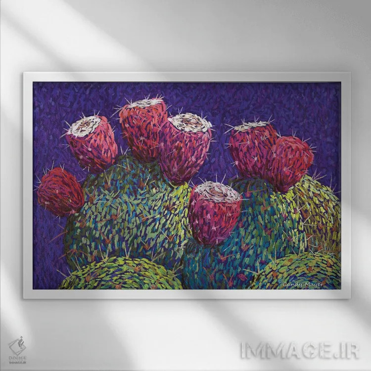 تابلو میوه انجیر خارگی اثر کندی مایر - نمای قابدار سفید