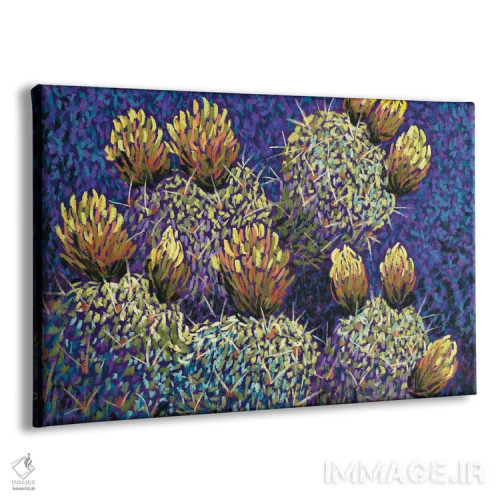 تابلو کاکتوس در دره اثر کندی مایر - نمای پرسپکتیو محصول
