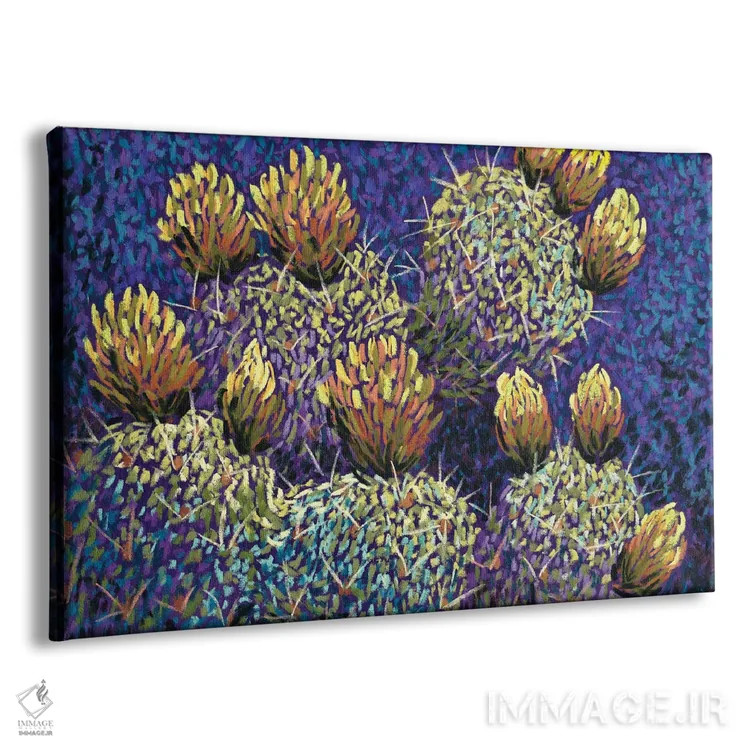 تابلو کاکتوس در دره اثر کندی مایر - نمای پرسپکتیو محصول