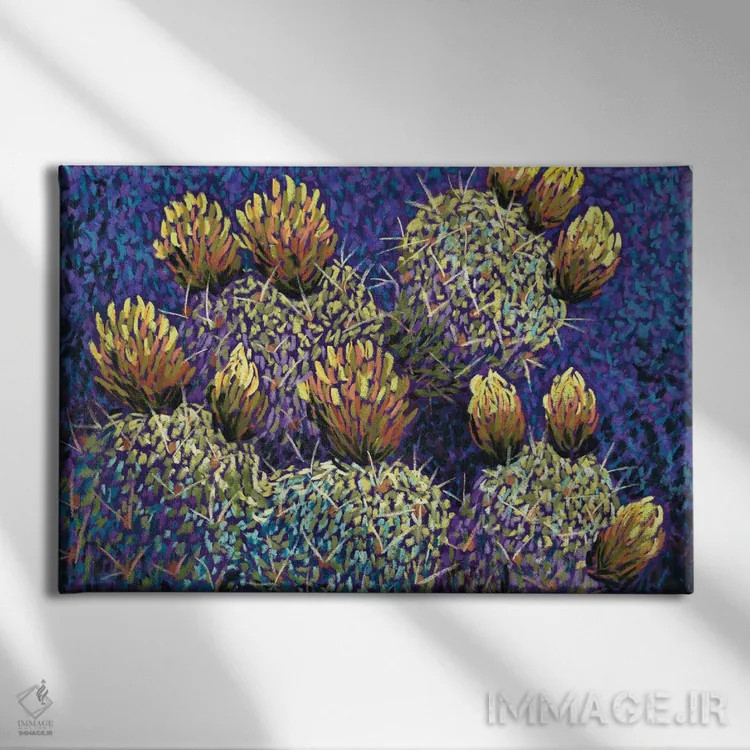 تابلو کاکتوس در دره اثر کندی مایر - نمای روبهرو روی دیوار