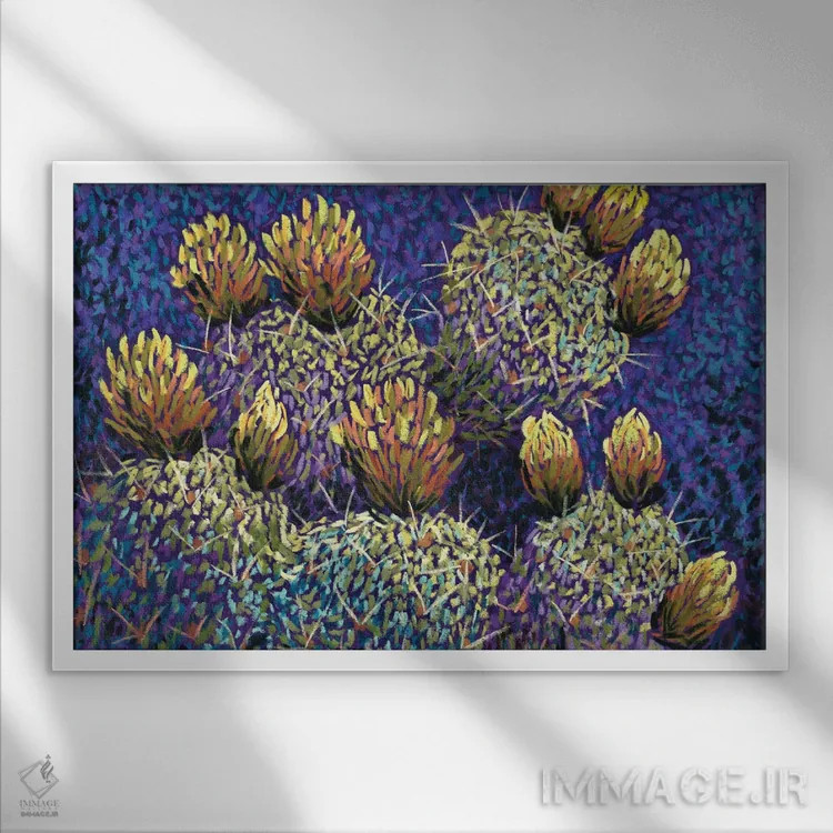 تابلو کاکتوس در دره اثر کندی مایر - نمای قابدار سفید