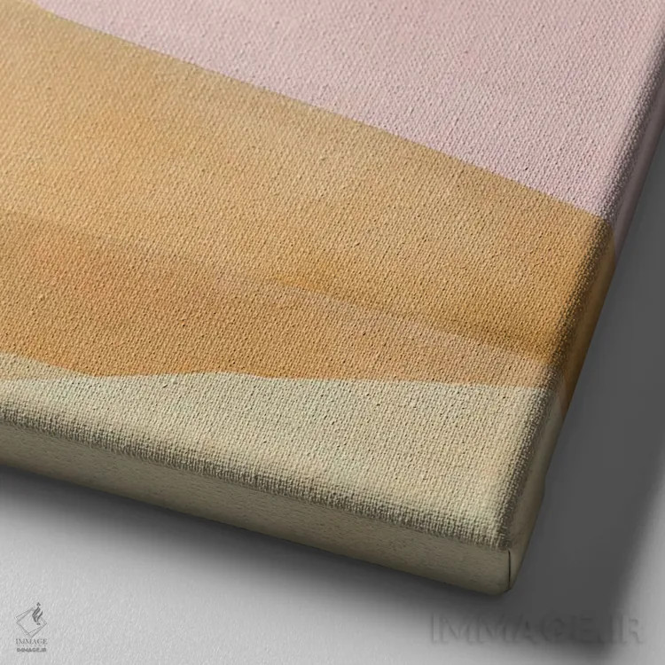 تابلو بانوی صورتیپوش اثر کارولین کسلسی - نمای نزدیک بافت بوم