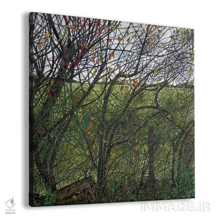 تابلو نقشه فنچ (پرنده) اثر کترین پاتریکسون - نمای پرسپکتیو محصول