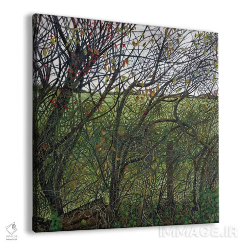 تابلو نقشه فنچ (پرنده) اثر کترین پاتریکسون - نمای پرسپکتیو محصول