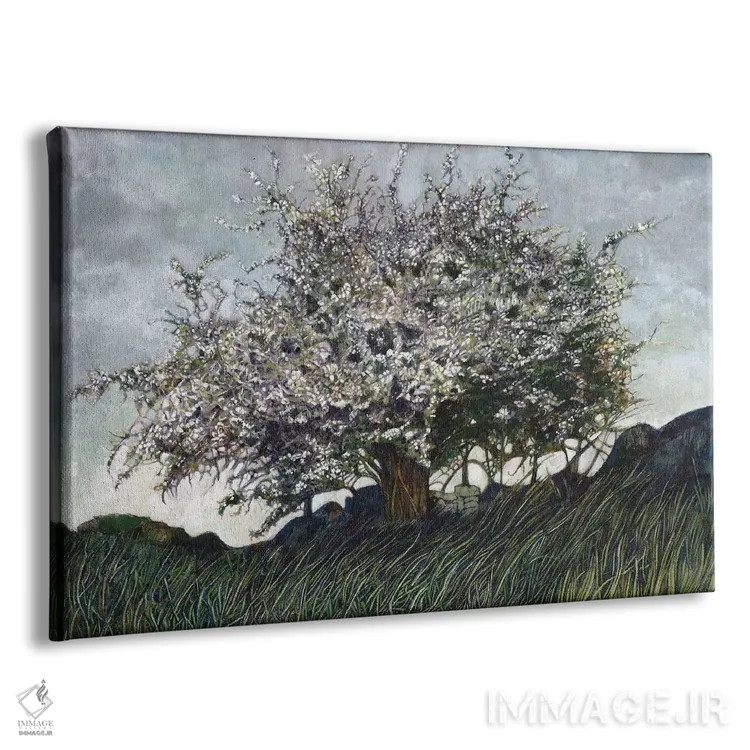 تابلو درخت زالزالک سفید اثر کترین پاتریکسون - نمای پرسپکتیو محصول