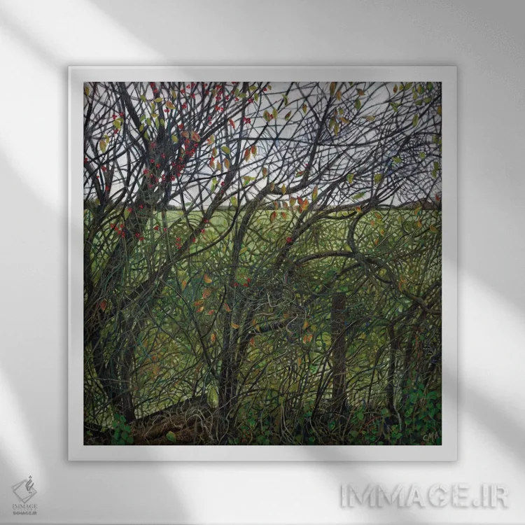 تابلو نقشه فنچ (پرنده) اثر کترین پاتریکسون - نمای قابدار سفید