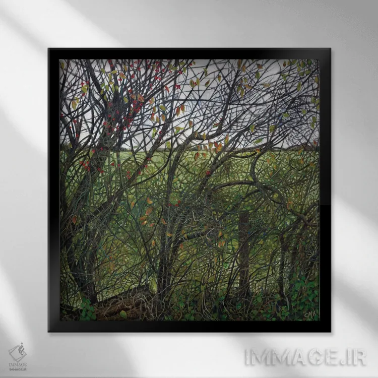 تابلو نقشه فنچ (پرنده) اثر کترین پاتریکسون - نمای قابدار مشکی