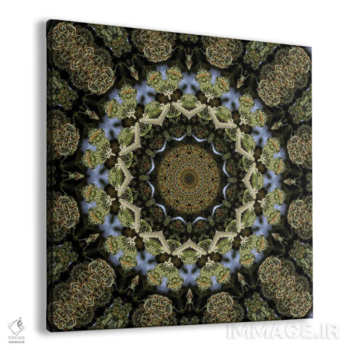 تابلو کالیودوسکوپ شاهدانه شمارهٔ ۱۳ اثر نائوم دورخمان - نمای پرسپکتیو محصول