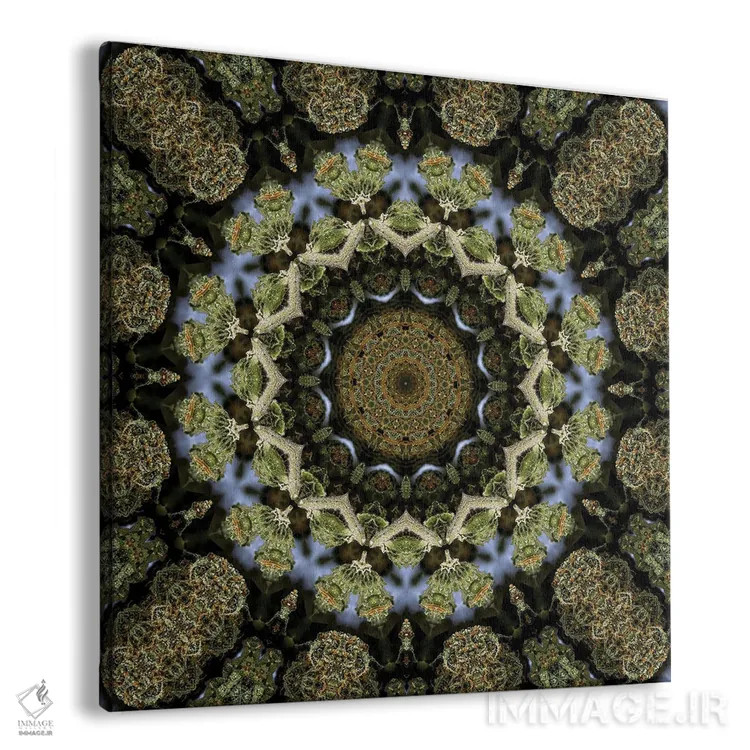 تابلو کالیودوسکوپ شاهدانه شمارهٔ ۱۳ اثر نائوم دورخمان - نمای پرسپکتیو محصول