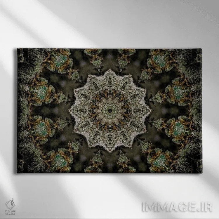 تابلو کالیودوسکوپ شاهدانه شمارهٔ ۲۲ اثر نائوم دورخمان - نمای روبهرو روی دیوار