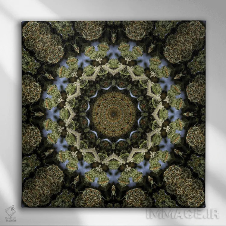 تابلو کالیودوسکوپ شاهدانه شمارهٔ ۱۳ اثر نائوم دورخمان - نمای روبهرو روی دیوار