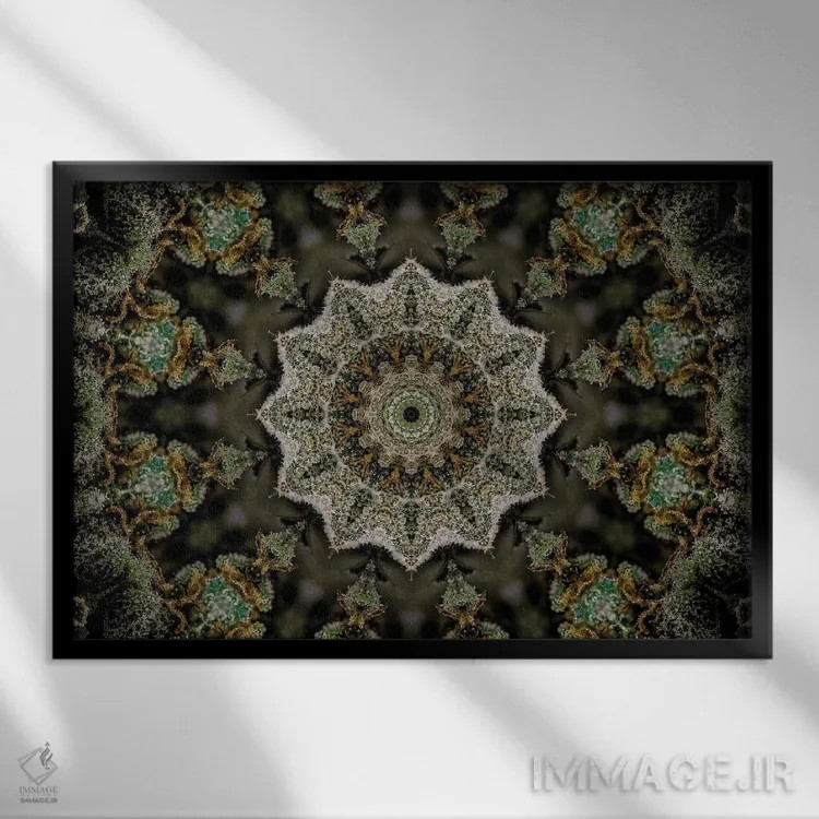 تابلو کالیودوسکوپ شاهدانه شمارهٔ ۲۲ اثر نائوم دورخمان - نمای قابدار مشکی