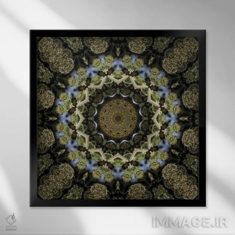 تابلو کالیودوسکوپ شاهدانه شمارهٔ ۱۳ اثر نائوم دورخمان - نمای قابدار مشکی