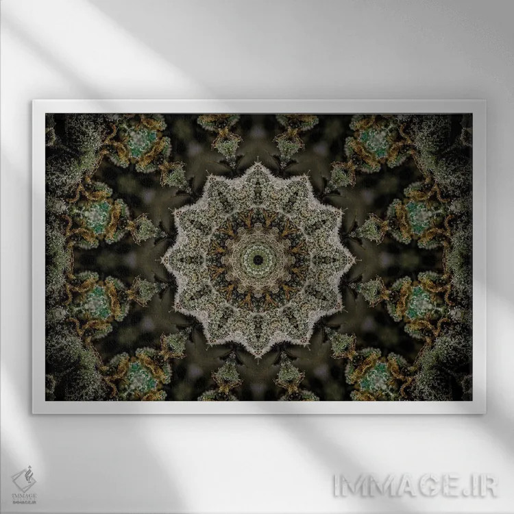 تابلو کالیودوسکوپ شاهدانه شمارهٔ ۲۲ اثر نائوم دورخمان - نمای قابدار سفید