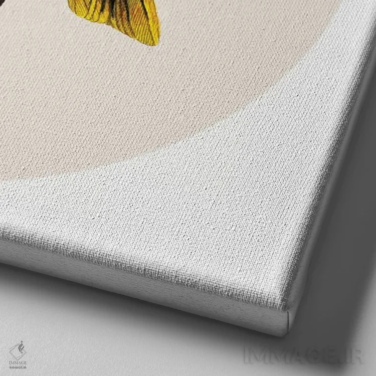 تابلو پرنده روی سطل زباله اثر کوکو د پاریس - نمای نزدیک بافت بوم