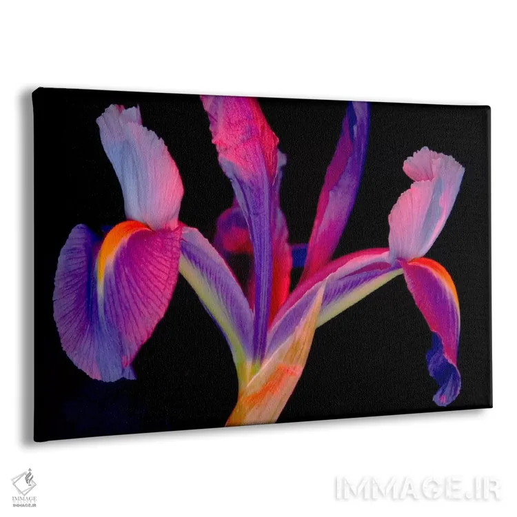 تابلو زنبق با رنگهای درخشان اثر کارول کوهن - نمای پرسپکتیو محصول