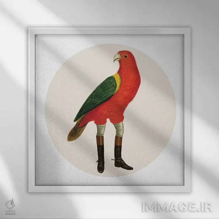 تابلو پرنده با چکمه اثر کوکو د پاریس - نمای قابدار سفید