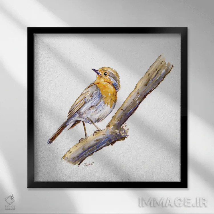 تابلو روز نقاشی پرنده اثر چارلی اوشیلدز - نمای قابدار مشکی