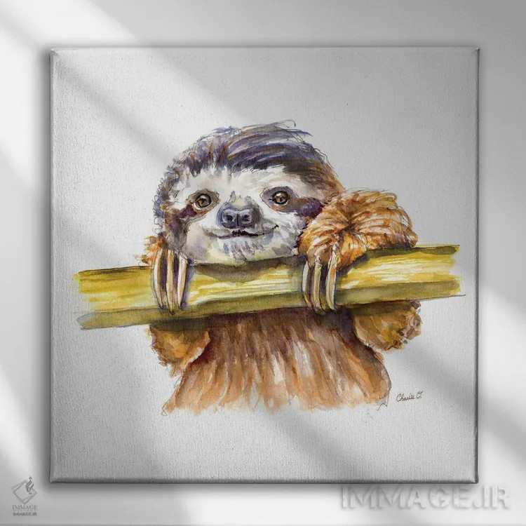تابلو تنبل کوچک (جانور) اثر چارلی اوشیلدز - نمای روبهرو روی دیوار