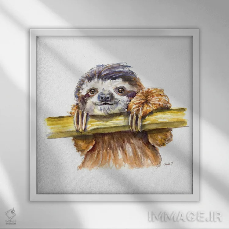 تابلو تنبل کوچک (جانور) اثر چارلی اوشیلدز - نمای قابدار سفید