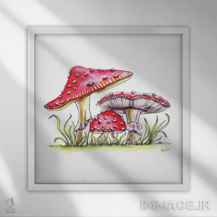 تابلو قارچهای قصهای اثر چارلی اوشیلدز - نمای قابدار سفید