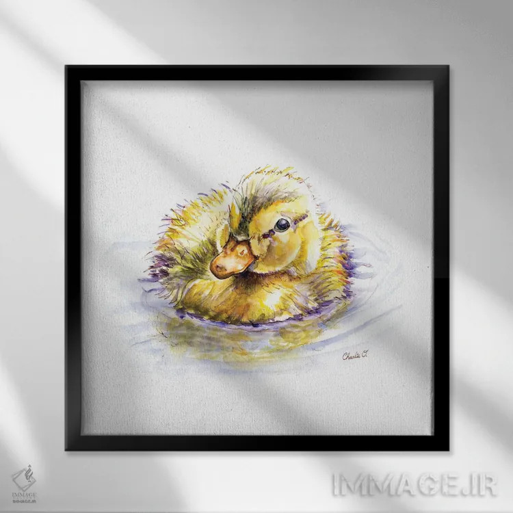 تابلو رویاهای جوجه اردک اثر چارلی اوشیلدز - نمای قابدار مشکی