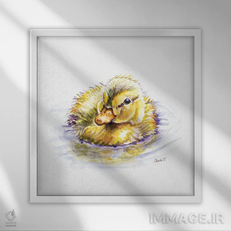 تابلو رویاهای جوجه اردک اثر چارلی اوشیلدز - نمای قابدار سفید