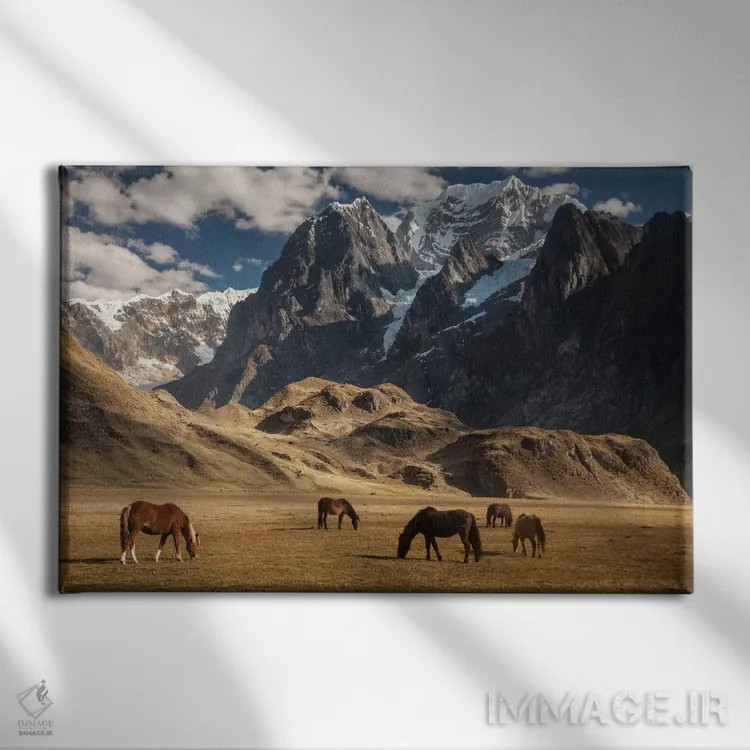 تابلو گله اسب اهلی در حال چرا در زیر سیولا گرانده، نزدیک دریاچه کارواکوچا، رشته کوه وایهوآش، آند، پرو اثر کالین مونتیث - نمای روبهرو روی دیوار