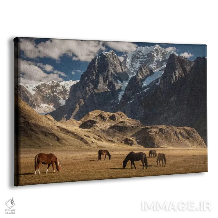 تابلو گله اسب اهلی در حال چرا در زیر سیولا گرانده، نزدیک دریاچه کارواکوچا، رشته کوه وایهوآش، آند، پرو اثر کالین مونتیث - نمای پرسپکتیو محصول