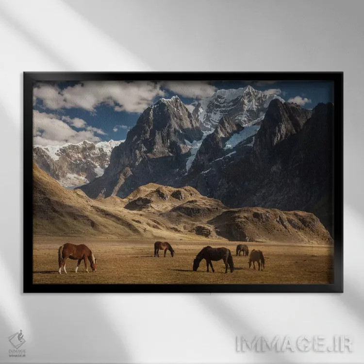تابلو گله اسب اهلی در حال چرا در زیر سیولا گرانده، نزدیک دریاچه کارواکوچا، رشته کوه وایهوآش، آند، پرو اثر کالین مونتیث - نمای قابدار مشکی