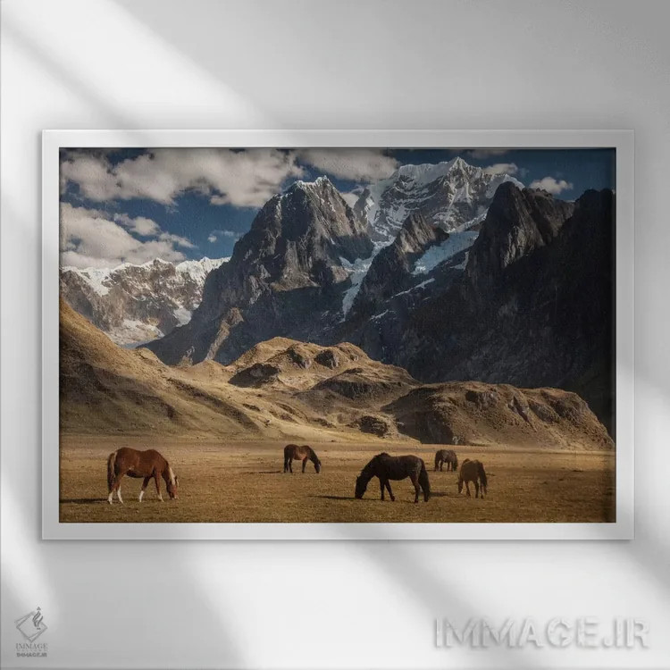 تابلو گله اسب اهلی در حال چرا در زیر سیولا گرانده، نزدیک دریاچه کارواکوچا، رشته کوه وایهوآش، آند، پرو اثر کالین مونتیث - نمای قابدار سفید