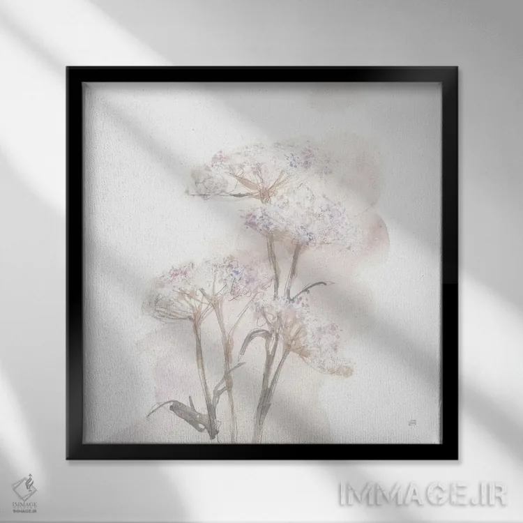 تابلو گیاه قیطان ملکه آن شماره ۵ (گل وحشی) اثر کریس پاشکه - نمای قابدار مشکی