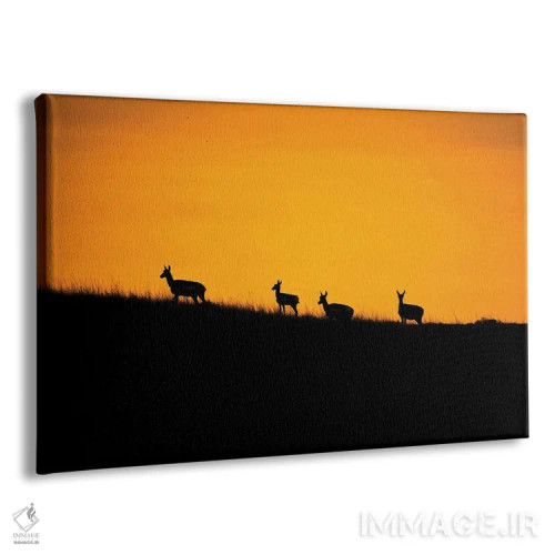 تابلو غروب آهوی شاخچنگالی اثر کریستوفر توماس - نمای پرسپکتیو محصول