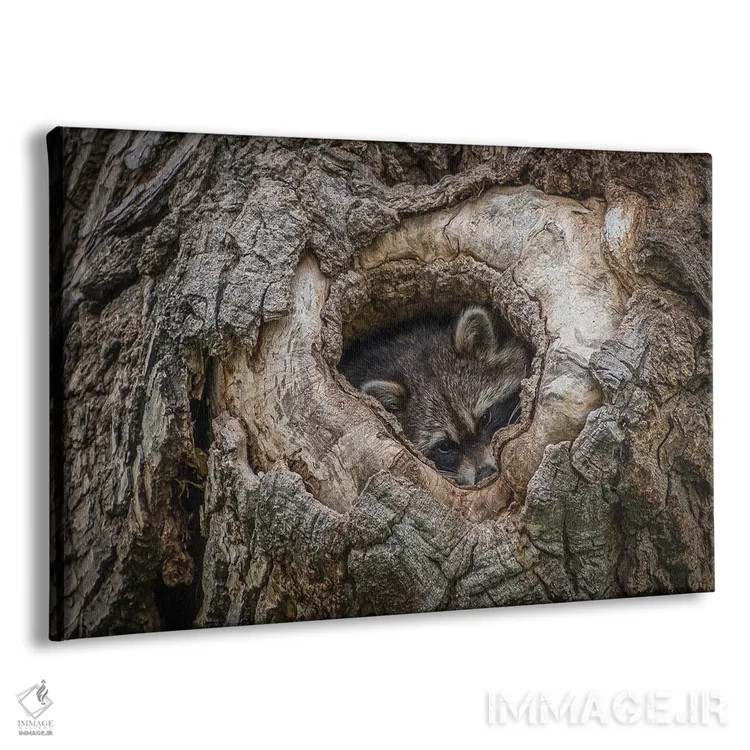 تابلو آماده برای شبهنگام اثر کریستوفر توماس - نمای پرسپکتیو محصول